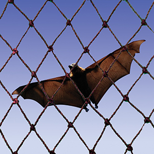 Bird-B-Gone Bat Netting (25'x25')